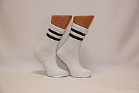 Женские носки высокие SPORT MONTEBELLO Ф14 36-39 белый с черными полосками