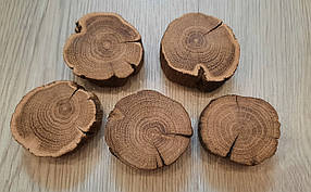 Зріз дерева шліфований для створення панно (5 шт) 4-6 см.
