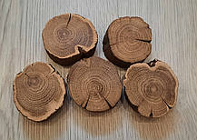 Зріз дерева шліфований для створення панно (5 шт) 4-6 см., фото 2