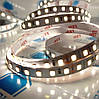 Стрічка світлодіодна 24В 120led/m smd2835 IP20 4000К негерметична 5м, фото 4