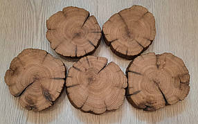 Спіл, зріз дерева для аплікації та творчості 5 шт. (d-10 см) Дуб морський