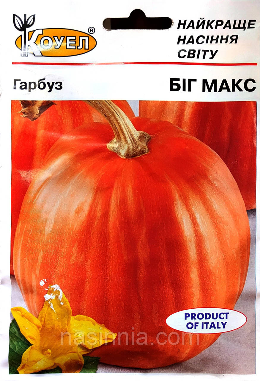 Гарбуз Біг макс 10 грам
