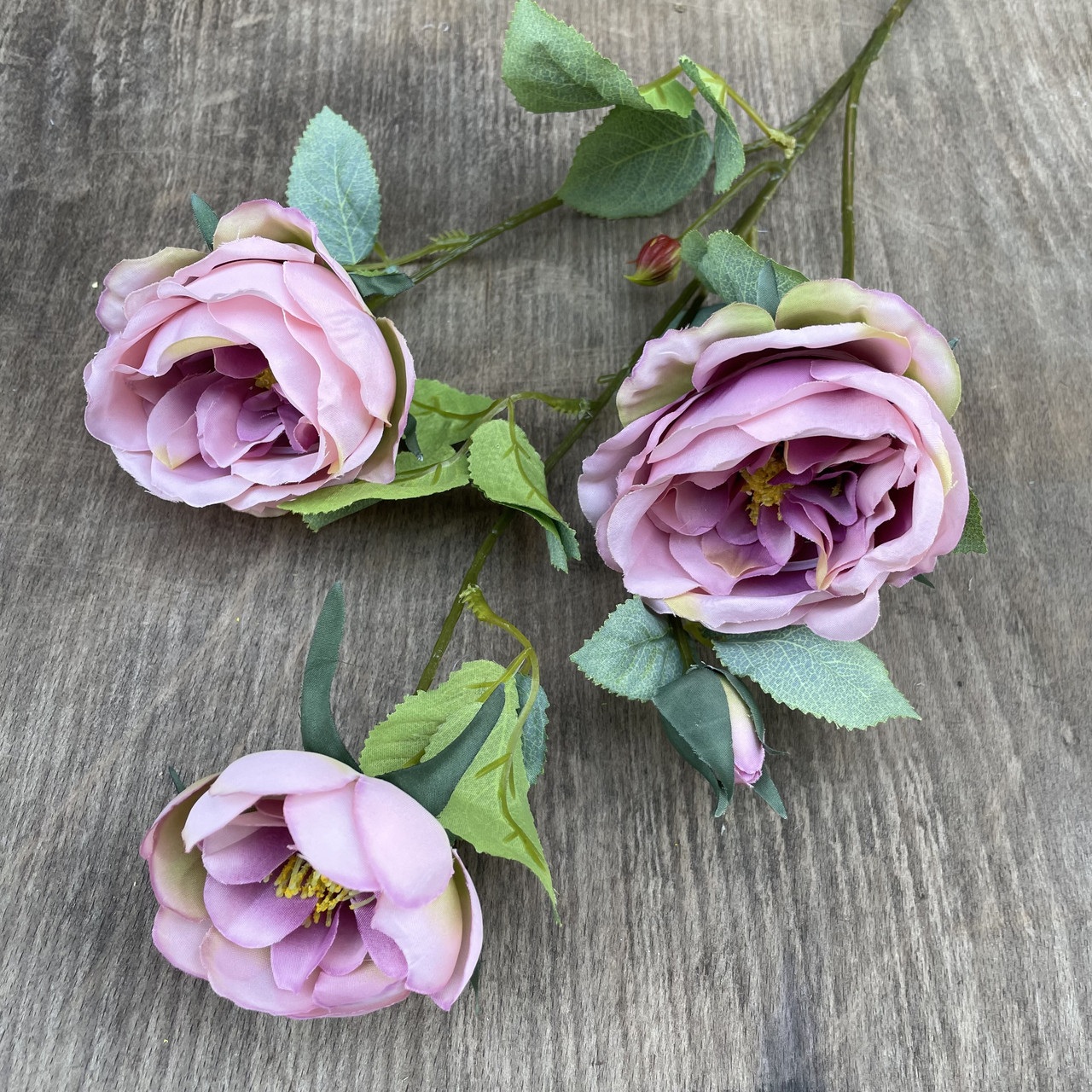 Штучна гілка Троянди Остін 75 см пудровий, фото 1