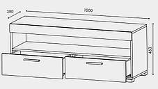 Тумба під телевізор 1200 Британія 460х1200х380мм Еверест, фото 3