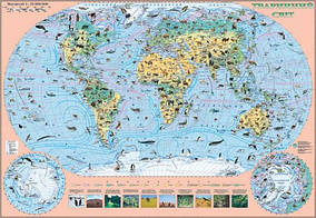 Карта "Тваринний світ" папір, 1 планка:35500000/ІПТ