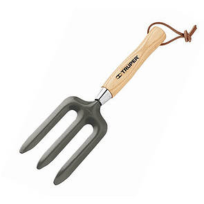 Маслина садова, Mini 150 мм