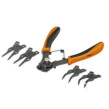 Довгогубці