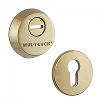 Протектор MUL-T-LOCK SL3 латунь полированная 48 - 53мм