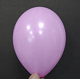 Латексна кулька пастель рожевий 10" / 06 / 26см Rose Gemar, фото 2