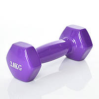 Гантели Profi с виниловым покрытием Фиолетовый 2х2 кг (M 0290-V)