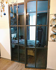 Двері скляні LOFT STYLE для дому та офісу, фото 4