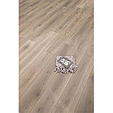 Ламінат Alsafloor Дуб Невада 5G 33кл. 8мм, фото 2