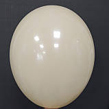 Латексна кулька пастель тілесний 10 "/ 69 / 26см Blush Gemar, фото 2