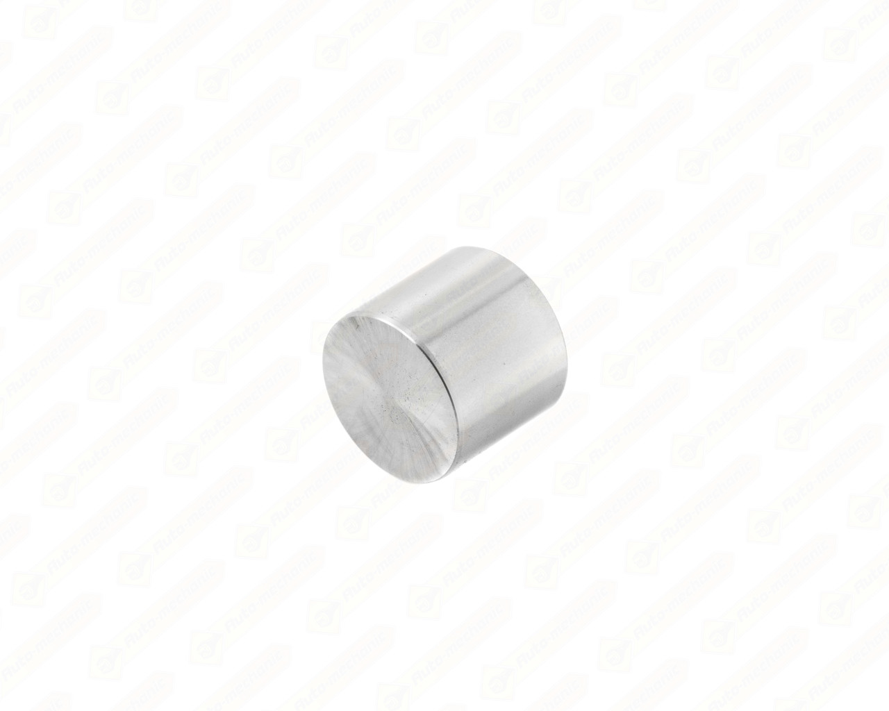 Штовхач клапана (7.975 mm) на Renault Dokker 2012-> 1.5 dCi - BGA - HL7366