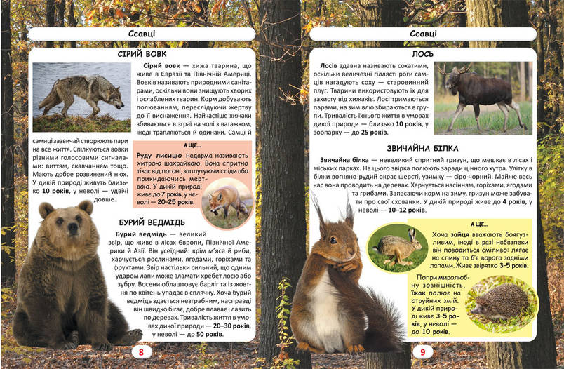 Книга Світ навколо нас. Хто скільки живе? | Фотоенциклопедія, фото 2