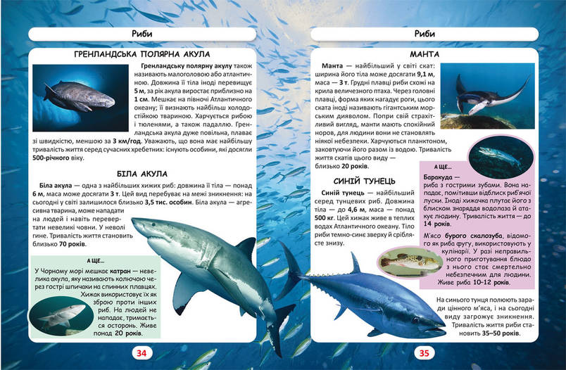 Книга Світ навколо нас. Хто скільки живе? | Фотоенциклопедія, фото 3