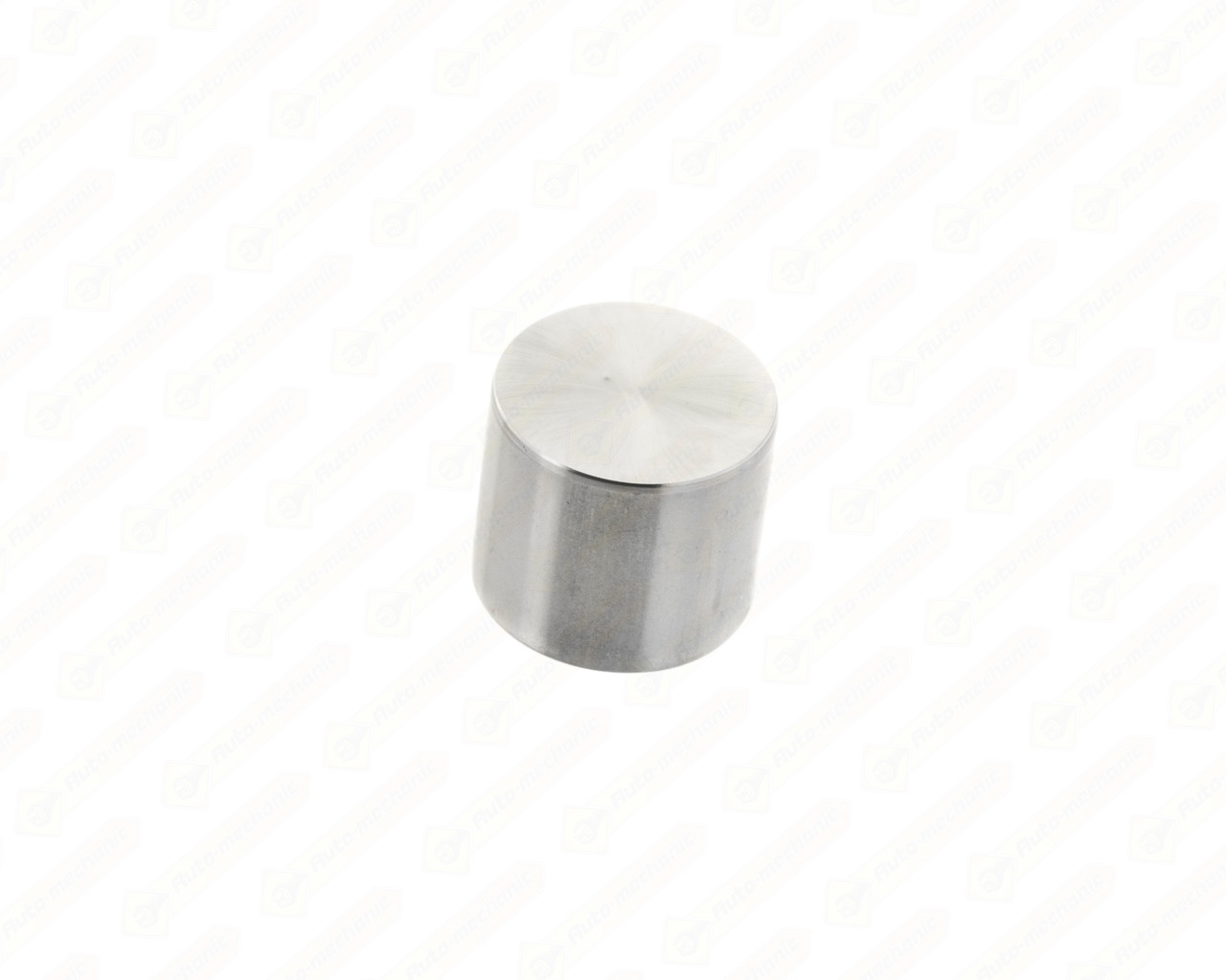 Штовхач клапана (8.050 mm) на Renault Logan II 2012-> 1.5 dCi - BGA - HL7369