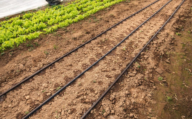 оборудование для капельного полива