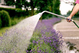 Зрошувач ручний (спис) "Ситечко" з байонетним з'єднувачем, 85 см, PROFI, GKIWA85-1