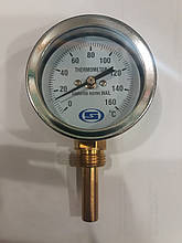 Термометр вертикальний Gross 1/2" 60мм L50мм (0-160С)