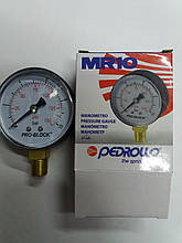 Манометр Pedrollo 10 Bar вертикальний(Італія)