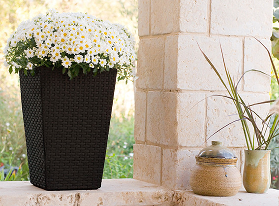Горщик для квітів (кашпо) Keter (Кетер) Rattan Style Planter M (17192301) Коричневий