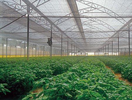 Aluminet I 40% (4,3*5м) світловідбиваюча сітка для застосування у середині приміщень, фото 1