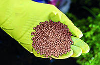 Нітроамофоска – одне з найбільш відомих добрив!