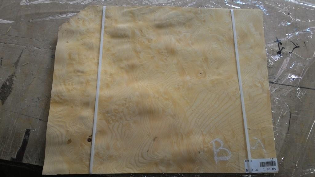 Шпон Ясень Корінь (Білий), фото 1