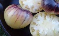 Семена томата Большой Бело-Пурпурный