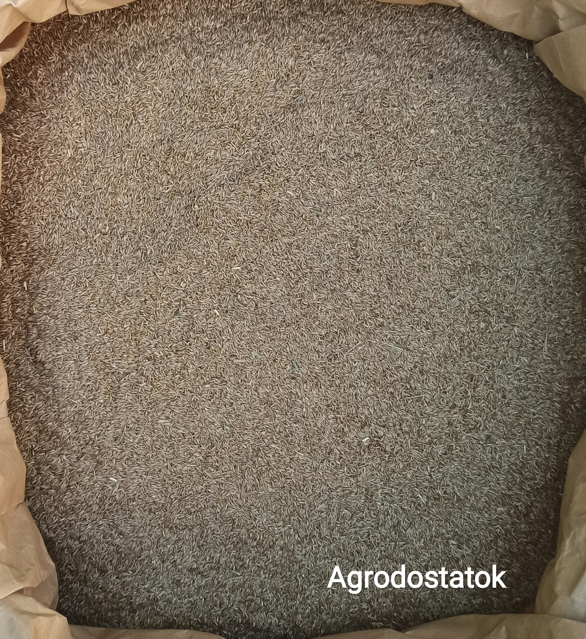 Семена Мятлика для газона. DSV Германия (оригинал). Купить на вес от 1 до 15 кг. - фото 2 - id-p1565606945