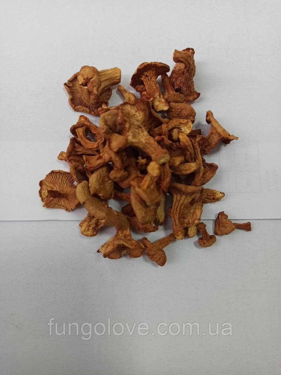 Лисичка звичайна суха (Cantharēllus cibārius) 100гр, фото 1
