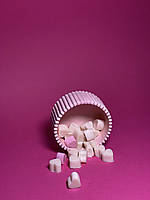 Набір ароматичних соєвих міні-саше (30шт) в гіпсовом кашпо ручної роботи