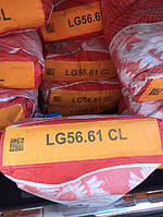 ЛГ 5661 КЛ (LG 5661 CL) насіння соняшника