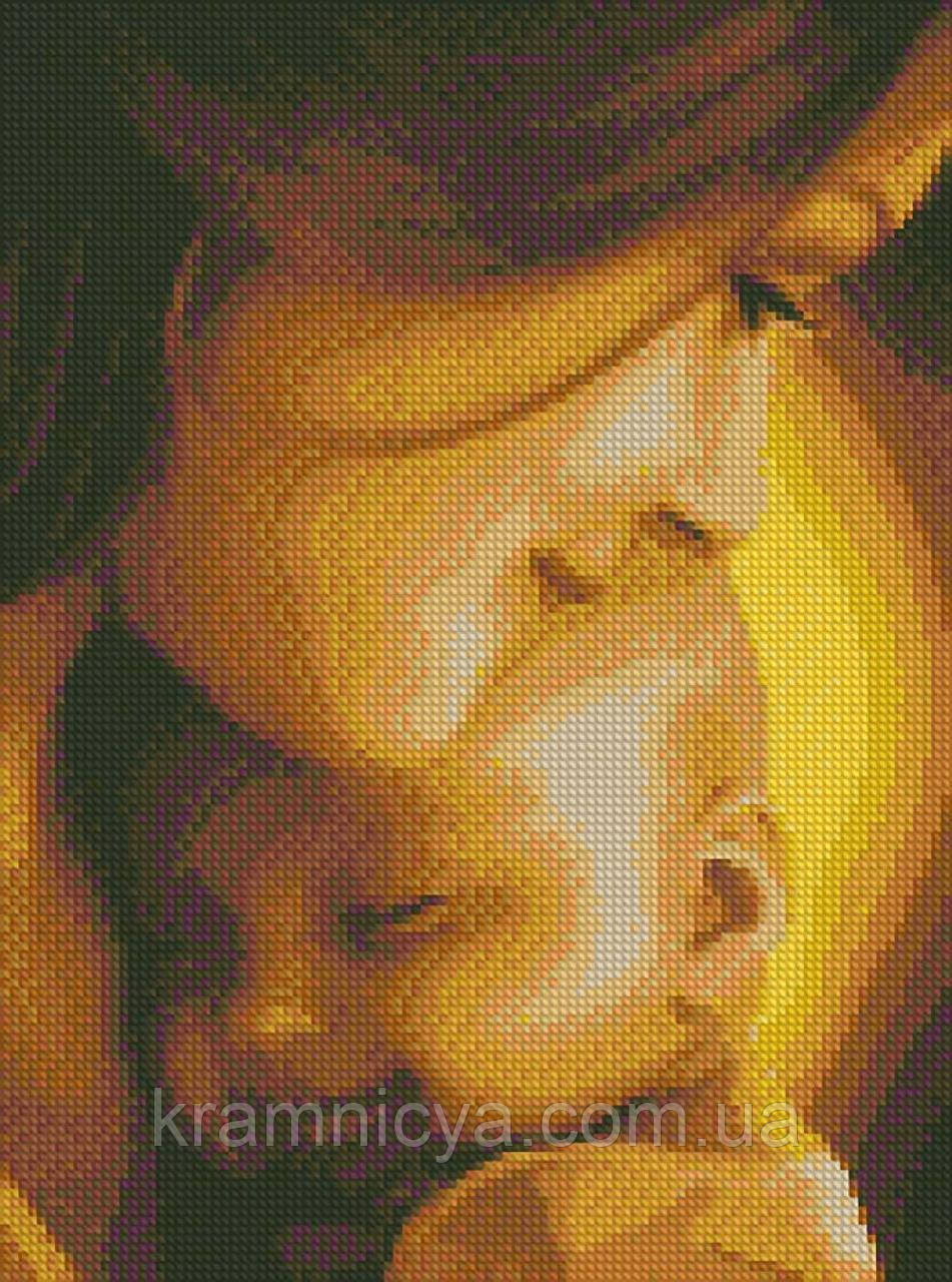 Алмазна мозаїка Жіноче щастя, 30х40 Ідейка (AMO7001), фото 1