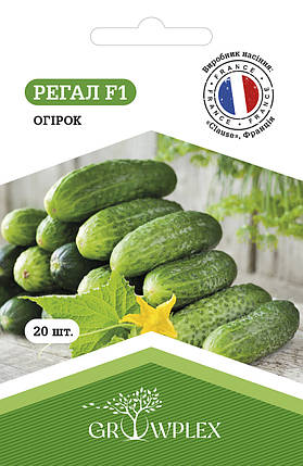 Насіння Огірок Регал F1 20шт ТМ GROWPLEX, фото 1