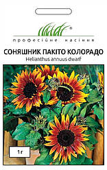 Насіння Соняшник Пакіто Колорадо 1г ТМ Професійне насіння