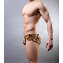 Чоловічі боксери Leon леопардові укорочені L-XL, фото 5