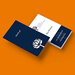 Візитки на пластику