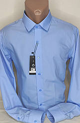 Чоловіча сорочка блакитна однотонна приталена Fiorenzo vd-0064 Туреччина, стильна з довгим рукавом бавовна