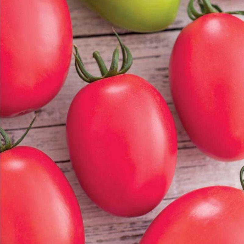 Насіння Томат Рожева слива 0,2г ТМ Смачний