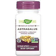 Астрагал Nature's Way "Astragalus" стандартизований екстракт, 500 мг (60 капсул)