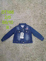 Джинсова куртка для дівчаток оптом, розміри 2-6 років, S&D арт. DT-166