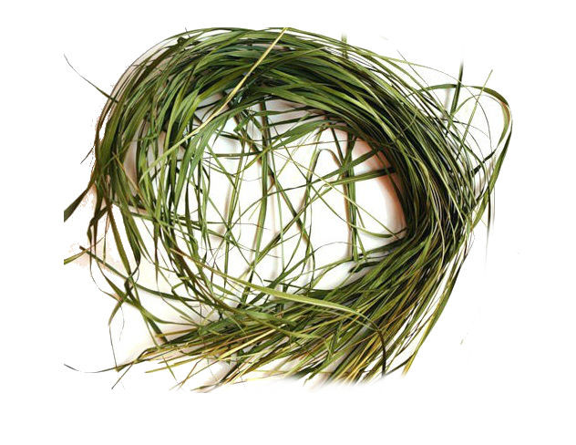 Зубрівка трав  50 грамів