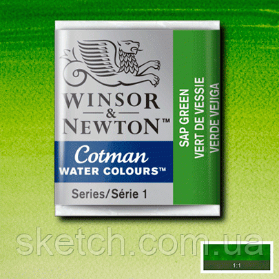 Акварельна фарба Winsor & Newton, №599 Сушена зелень