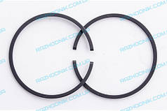 Поршневі кільця Beaver бензопили Штиль MS 250 42,5*1,2 2 шт