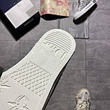 Жіночі кеди Shawn Stussy x Dior B23 Sneakers, кросівки крістіан діор б23 шон стуссі, фото 9