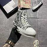 Жіночі кеди Shawn Stussy x Dior B23 Sneakers, кросівки крістіан діор б23 шон стуссі, фото 8