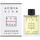 Original Acqva di PRO sale FVMVM ROMA 100ml, фото 3