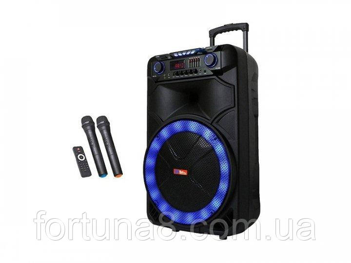 Професійна акумуляторна акустична система Sky Sound